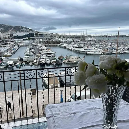 Vieux Port Splendide Vue Cannes